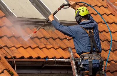Démoussage et hydrofuge de toiture à Chênex